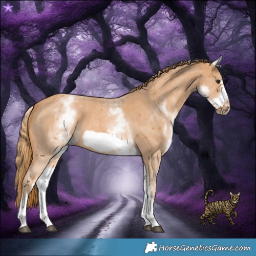 Horse Color:White Spotted Chestnut Sabino Frame 