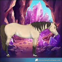Horse Color:Buckskin Dun Splash 