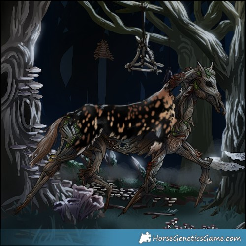 Horse Color:Void Red Onyx Appaloosa 