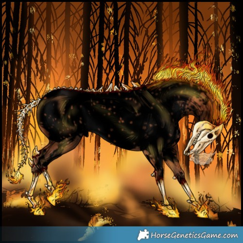 Horse Color:Void White Spotted Silver Bay Appaloosa 