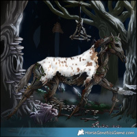 Horse Color:White Spotted Bay Onyx Appaloosa