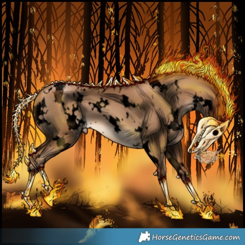 Horse Color:Gray Void White Spotted Chocolate Palomino Pearl Appaloosa