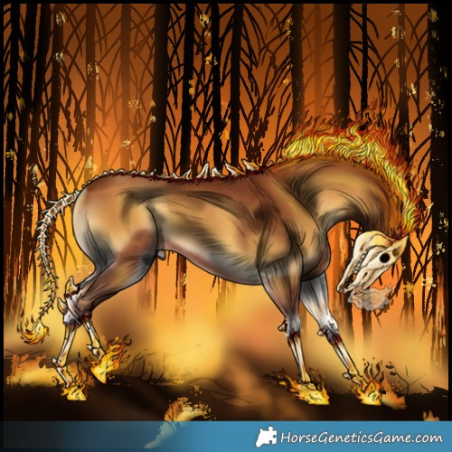 Horse Color:Gray Red Onyx Rabicano 