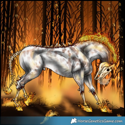 Horse Color:Platinum Red Onyx Sabino Appaloosa Rabicano