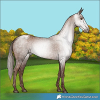 Horse Color:Gray Black Pearl Varnish