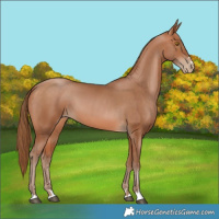 Horse Color:Brown Pearl 