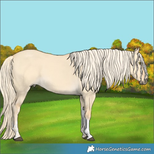 Horse Color:Palomino Dun Tobiano 