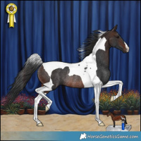 Horse Color:Brown Tobiano Rabicano 
