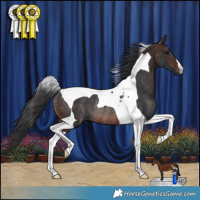 Horse Color:Brown Tobiano Rabicano 