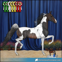 Horse Color:Brown Tobiano Rabicano