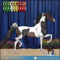 Horse Color:Brown Tobiano Rabicano