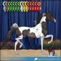 Horse Color:Brown Tobiano Rabicano
