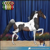 Horse Color:Brown Tobiano Rabicano 