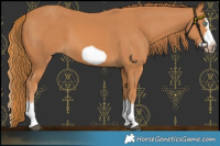 Horse Color:Chestnut Splash Frame
