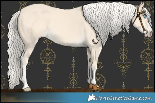 Horse Color:Cremello Splash  and Cremello 