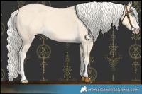 Horse Color:Cremello Splash and Cremello