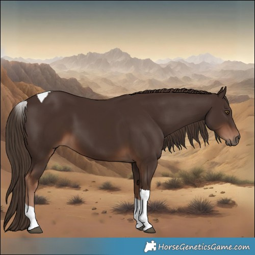 Horse Color:Liver Chestnut Tobiano 