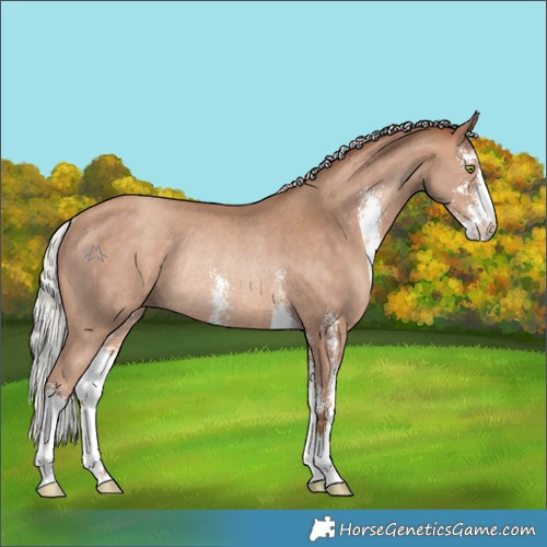 Horse Color:Silver Sable Champagne Sabino Rabicano