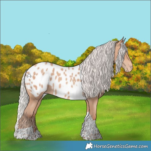 Horse Color:Silver Amber Champagne Tobiano Appaloosa Rabicano 