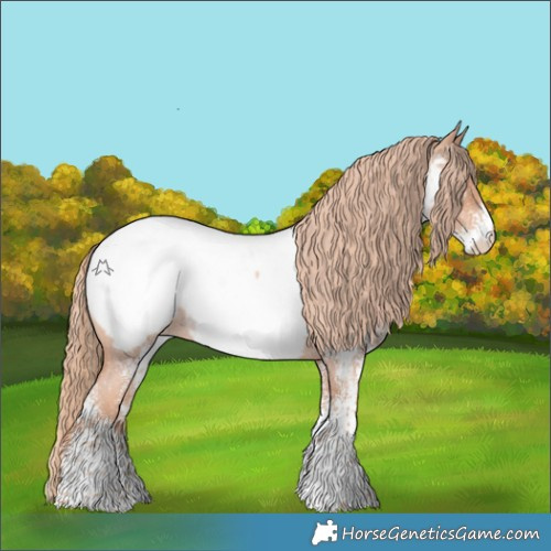 Horse Color:White Spotted Gold Champagne Roan Appaloosa Rabicano 