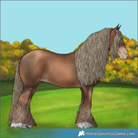 Horse Color:Gray Liver Chestnut Pearl Mushroom 
