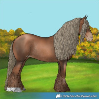 Horse Color:Gray Liver Chestnut Pearl Mushroom Rabicano 