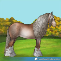Horse Color:Gray White Spotted Liver Chestnut Pearl Mushroom 