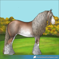 Horse Color:Gray White Spotted Liver Chestnut Pearl Mushroom 