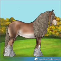 Horse Color:Gray White Spotted Liver Chestnut Pearl Mushroom