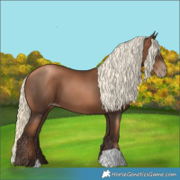 Horse Color:Gray Liver Chestnut Pearl Mushroom
