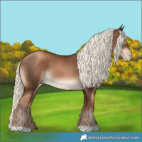 Horse Color:Gray Liver Chestnut Pearl Mushroom