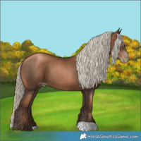 Horse Color:Gray Liver Chestnut Pearl Mushroom