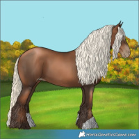 Horse Color:Gray Liver Chestnut Pearl Mushroom 