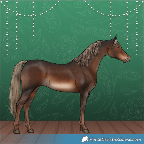 Horse Color:Liver Chestnut Rabicano 