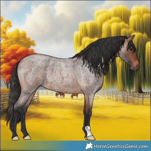 Horse Color:Bay Roan 