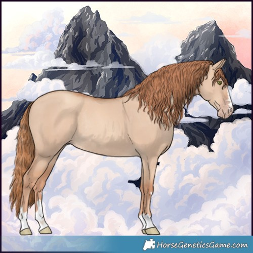 Horse Color:Gold Champagne Dun Rabicano 