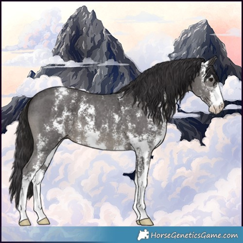 Horse Color:Smoky Black Sabino