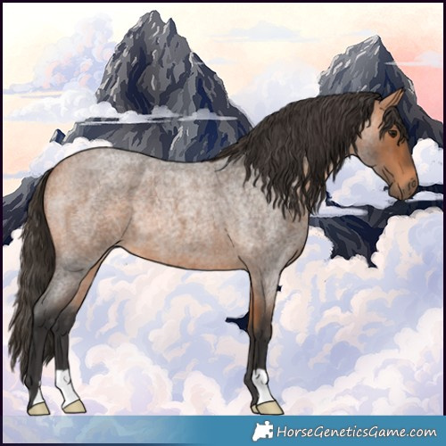 Horse Color:Bay Roan 