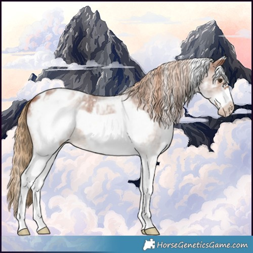 Horse Color:White Spotted Chestnut Sabino Frame Appaloosa