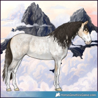 Horse Color:Buckskin Roan Sabino
