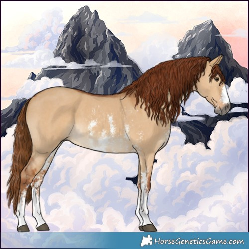 Horse Color:Gray Red Dun Sabino 