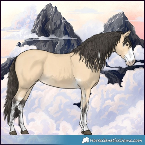 Horse Color:Buckskin Sabino 
