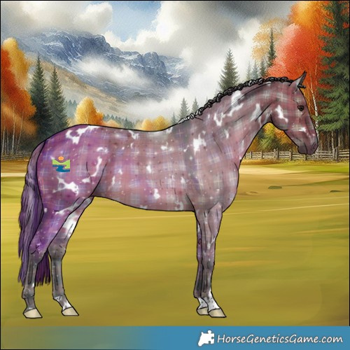 Horse Color:Plaid  White Spotted Brown Dun 