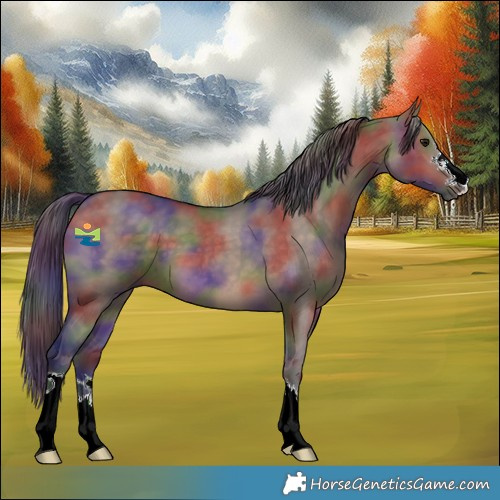 Horse Color:Nacre Brown Dun 