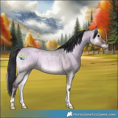 Horse Color:Brown Roan Onyx 