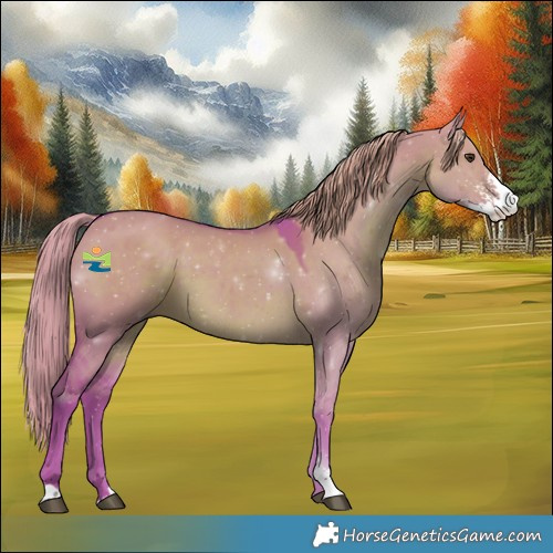 Horse Color:Watercolor Liver Red Dun Sabino 