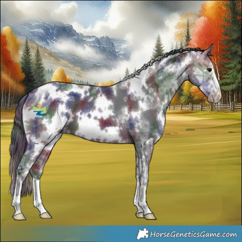 Horse Color:Nacre White Spotted Brown Ice Appaloosa 