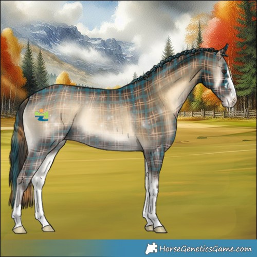 Horse Color:Plaid  Liver Red Onyx Appaloosa Rabicano 