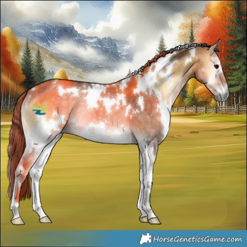 Horse Color:White Spotted Buckskin Onyx 