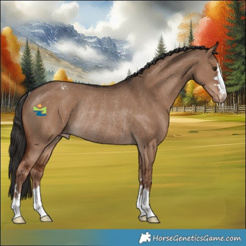 Horse Color:Liver Red Dun Appaloosa Rabicano 